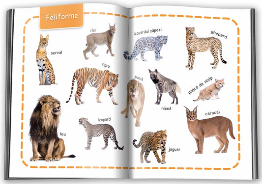 Animale