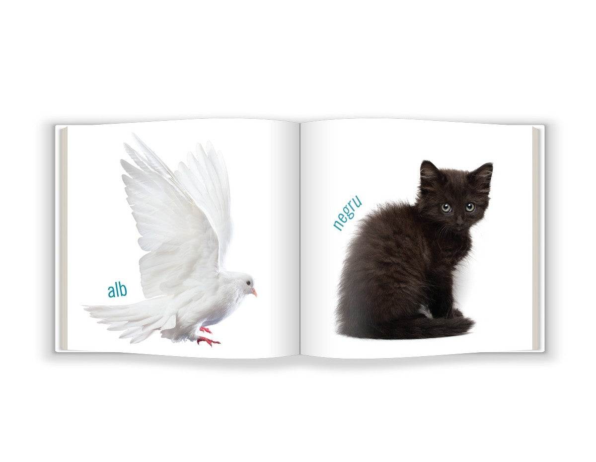 Lumea Culorilor - Carte Educativă pentru Cei Mici (Bebe Cunoaște)