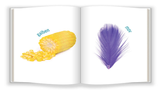 Lumea Culorilor - Carte Educativă pentru Cei Mici (Bebe Cunoaște)