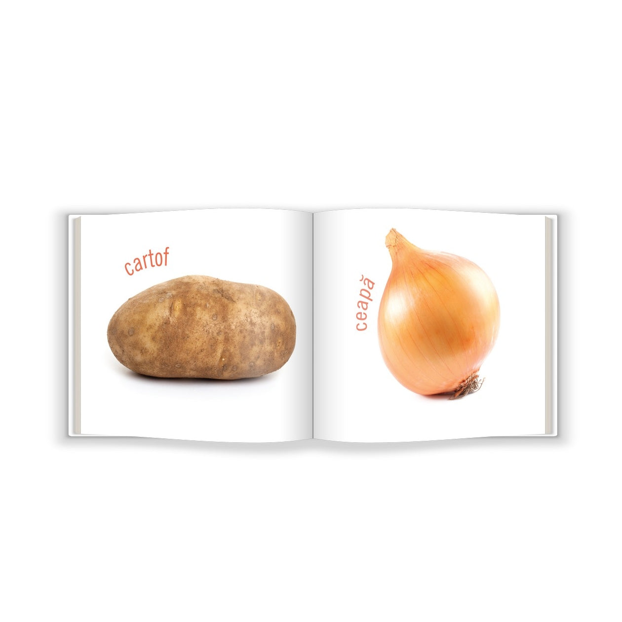 Carte Educativă pentru Bebeluși: Legumele (Bebe Cunoaște)