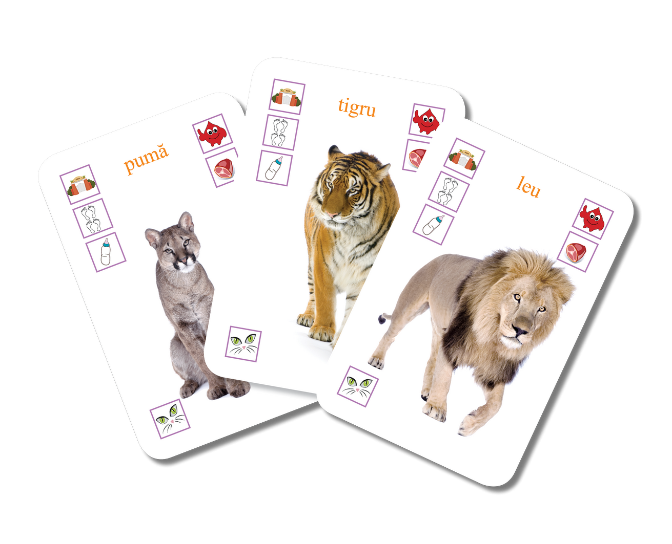 Flashcard-uri Educative: Învățăm Animalele (Cărți de Joc Expert)