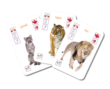 Flashcard-uri Educative: Învățăm Animalele (Cărți de Joc Expert)