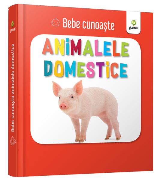 Prima mea carte despre Animale Domestice (Bebe Cunoaște)