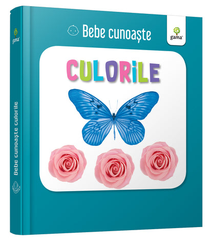Lumea Culorilor - Carte Educativă pentru Cei Mici (Bebe Cunoaște)