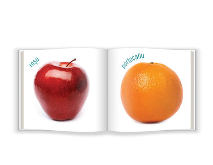 Lumea Culorilor - Carte Educativă pentru Cei Mici (Bebe Cunoaște)