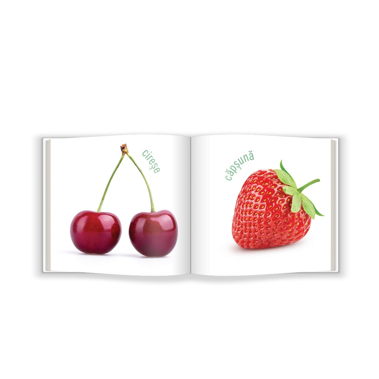 Carte Educativă pentru Bebeluși: Fructele (Bebe Cunoaște)