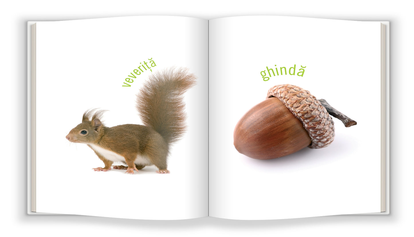 Descoperim Natura - Carte de Învățare Timpurie (Bebe Cunoaște)