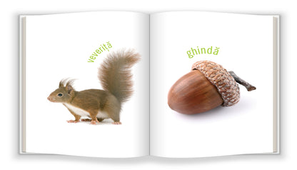 Descoperim Natura - Carte de Învățare Timpurie (Bebe Cunoaște)